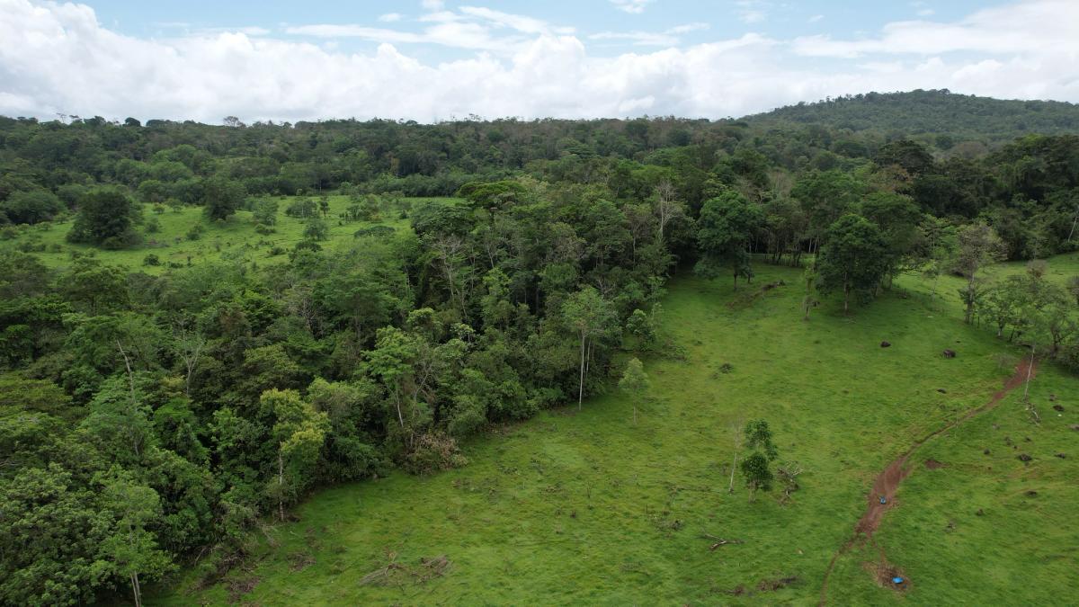 Finca Ganadera entre Upala y Bijagua: Dividida por Vía Nacional
