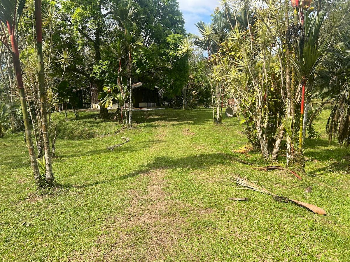 Stunning 6.4-Acre Lakefront Estate with Tourism Potential in La Palmera