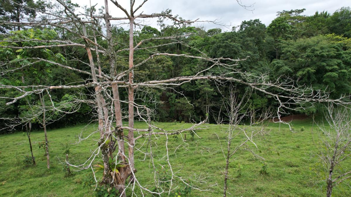 Finca Turística y Agropecuaria en San Carlos: Con Nacientes y Ríos