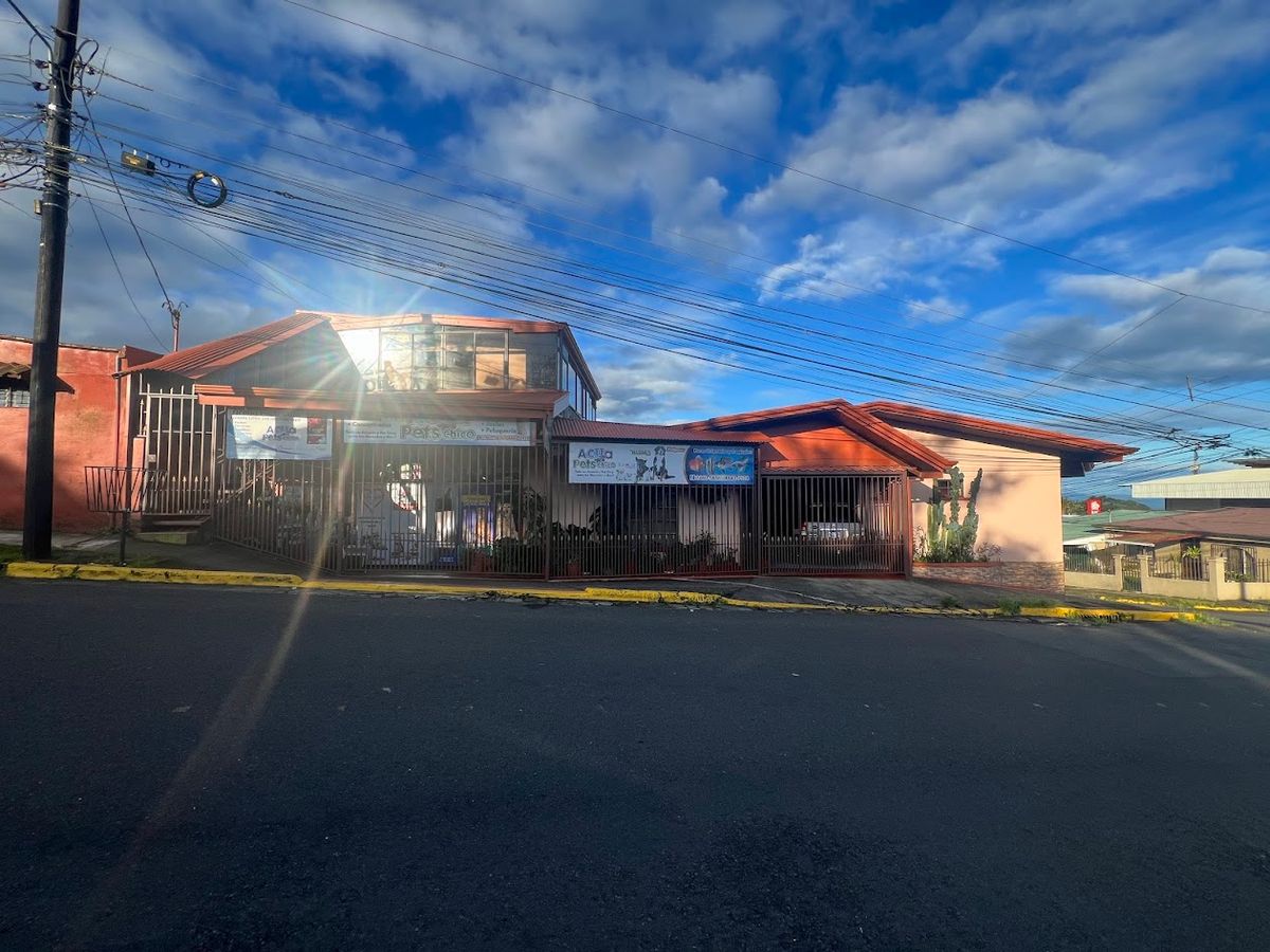 Prime Commercial Property in Downtown Ciudad Quesada: High-Yield Investment