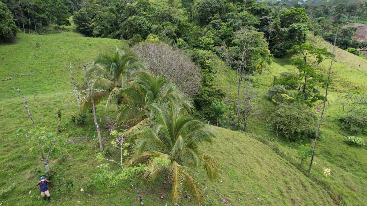 Finca Turística y Agropecuaria en San Carlos: Con Nacientes y Ríos
