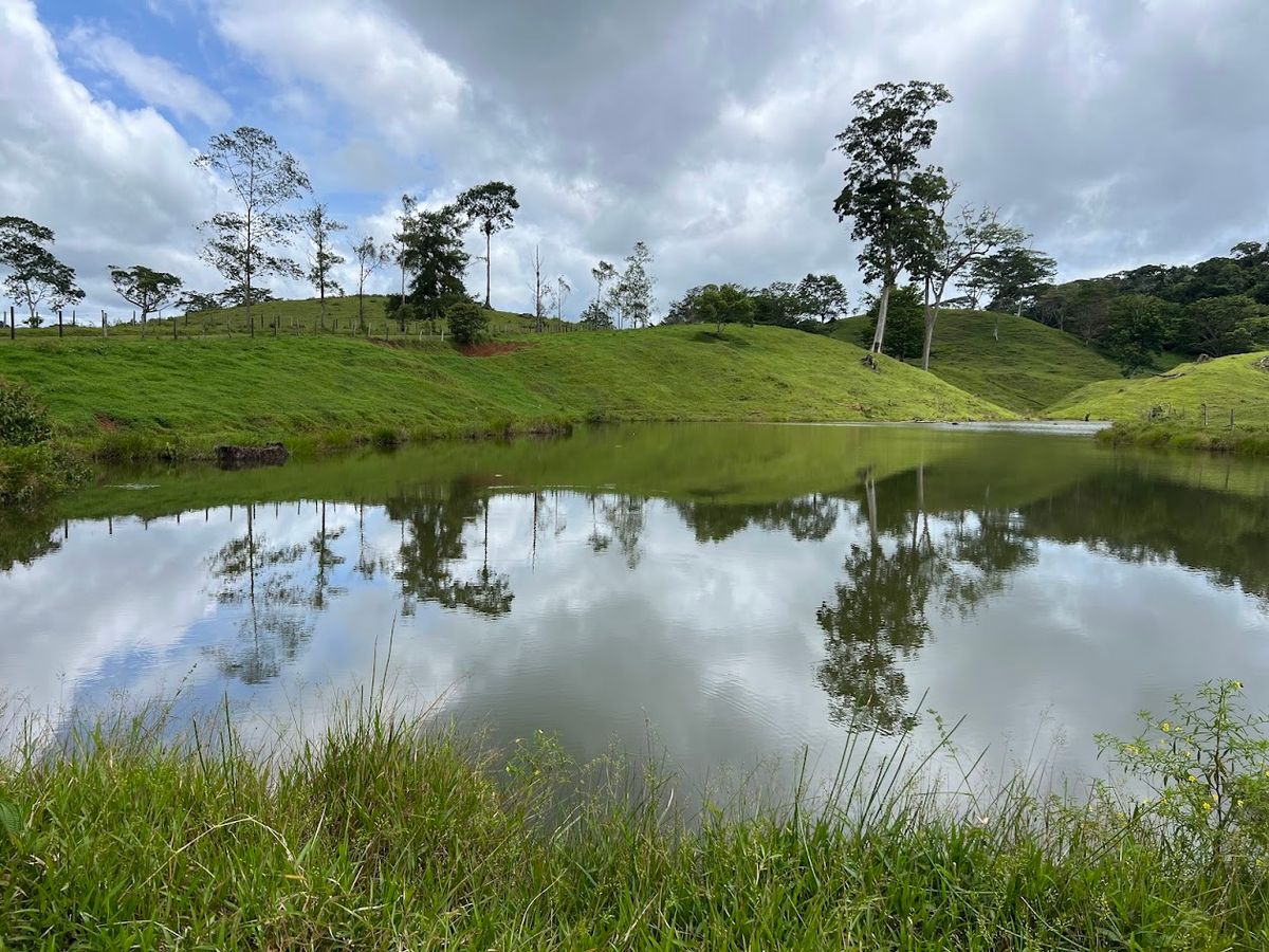 Cattle ranch in Costa Rica, San Carlos