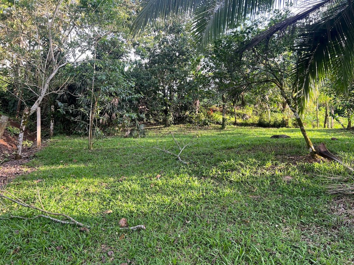 Lot in Cuestillas, Florencia with Panoramic Views