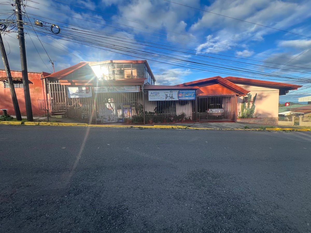Prime Commercial Property in Downtown Ciudad Quesada: High-Yield Investment