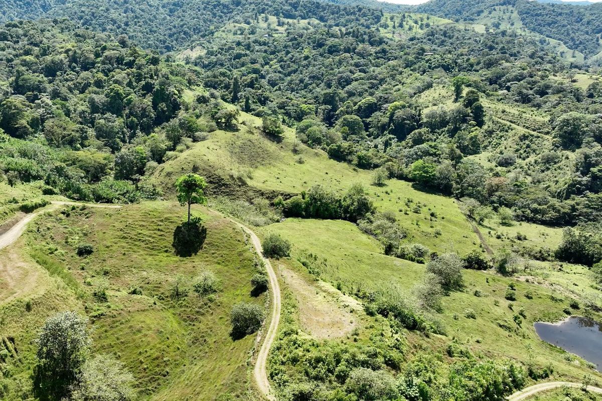 Premium Lot for Sale in El Castillo: Arenal Volcano & Lake Views