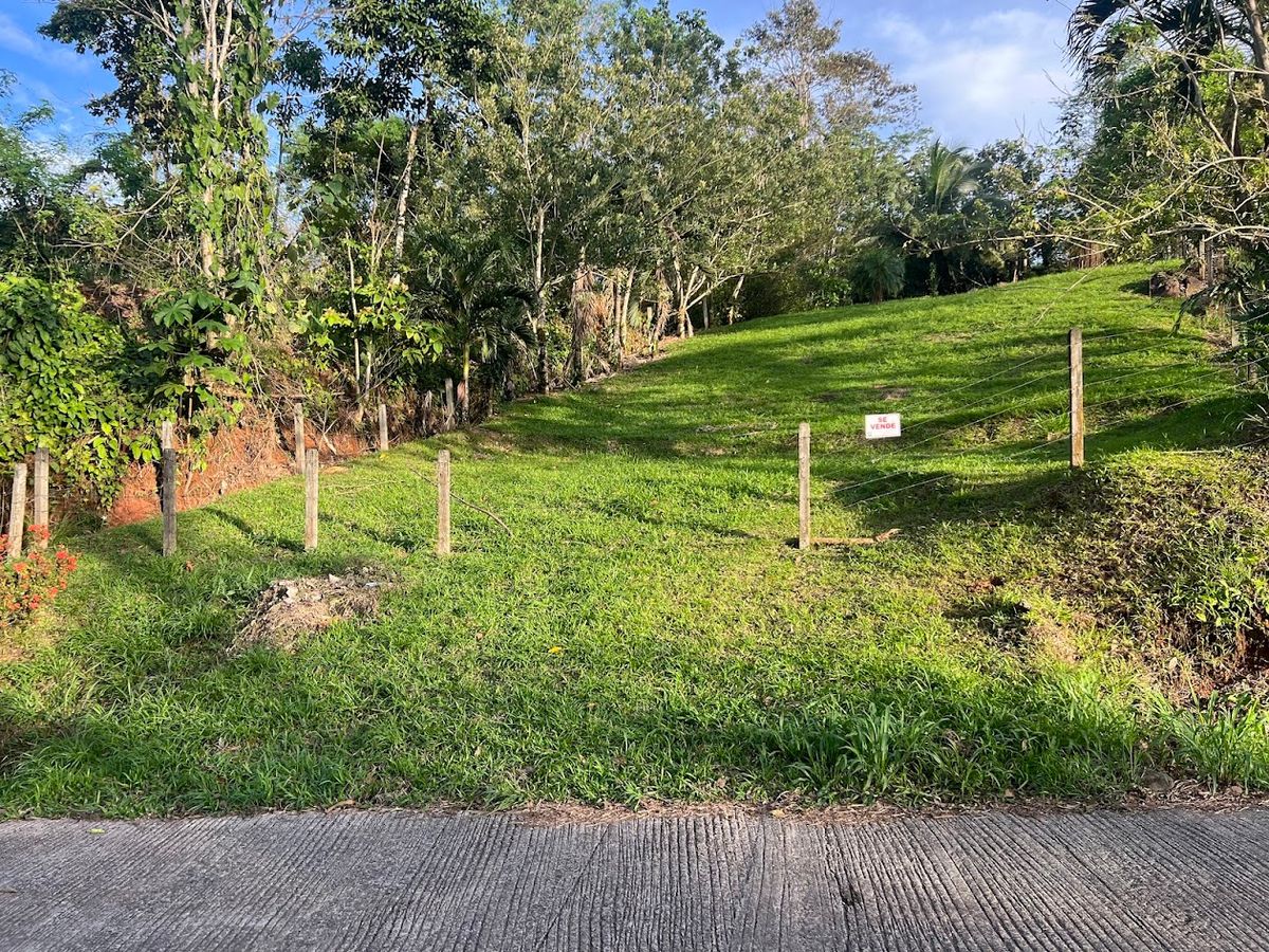 Lot in Cuestillas, Florencia with Panoramic Views