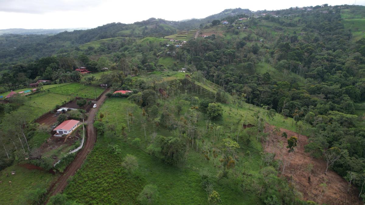 Lotes en Cedral de Ciudad Quesada: Topografía Plana y Paz