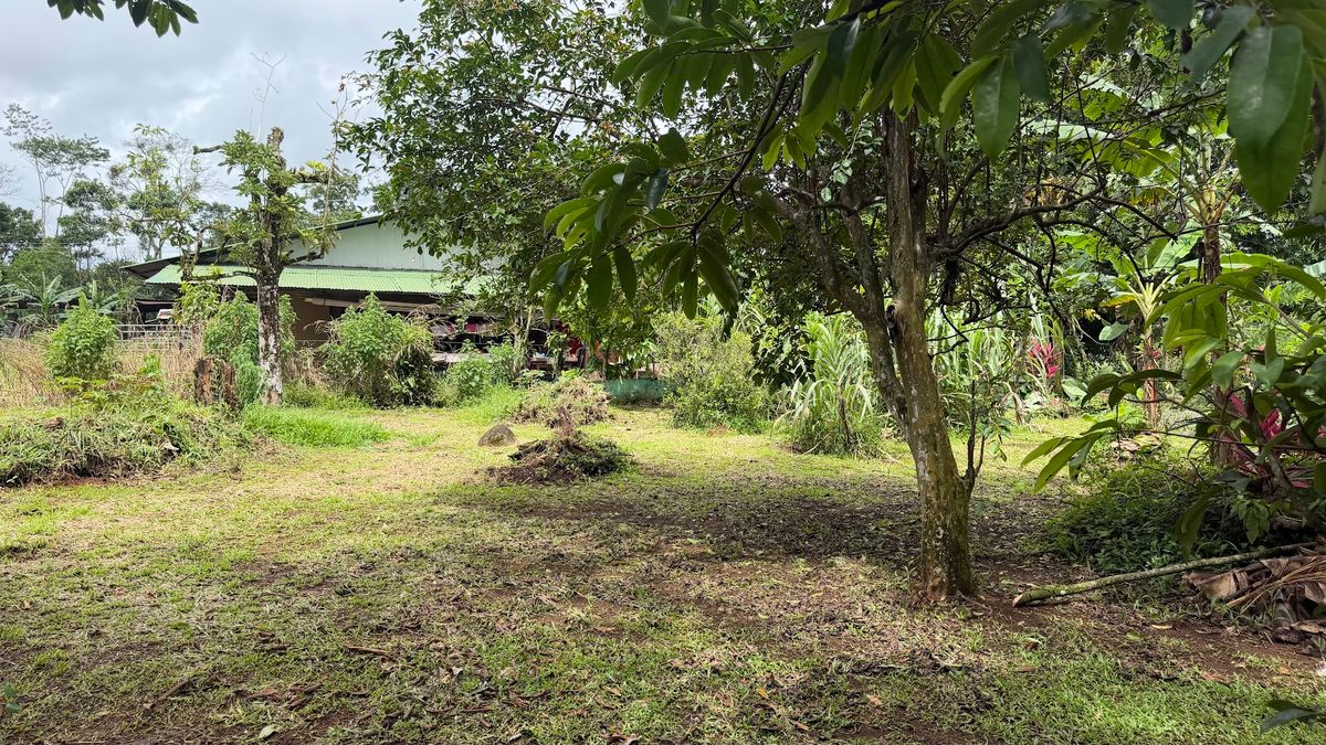Land for Sale in Las Delicias, Aguas Zarcas: Heritage & Nature