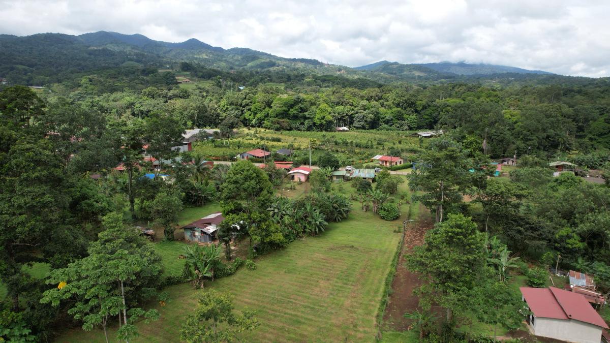 Land for Country Home in La Tigra, San Carlos: Bordering River