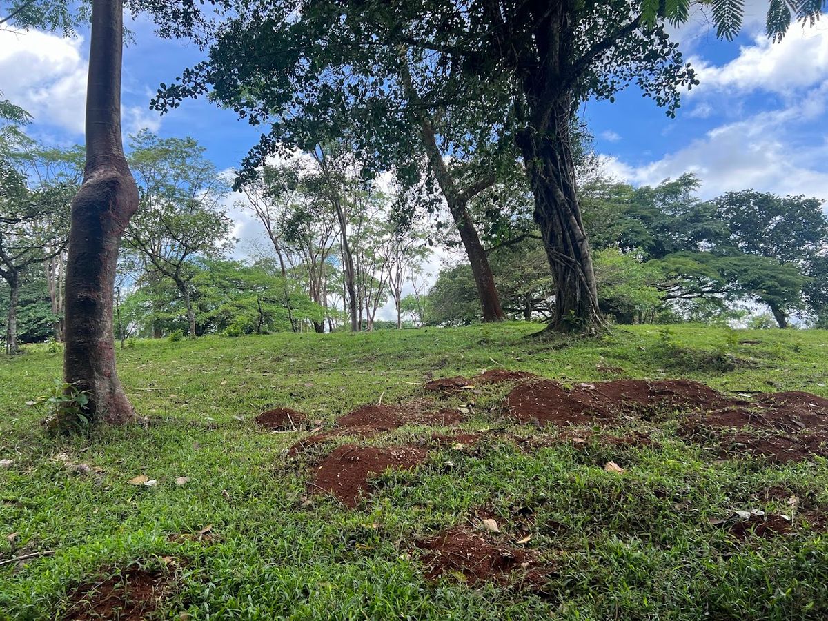 4,036 sqm Versatile Rural Lot in San Jorge de Cutris, San Carlos