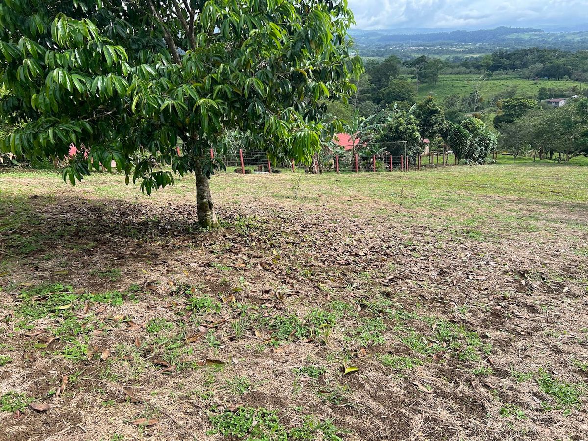 Home with Large Lot for Sale in La Tesalia | San Carlos