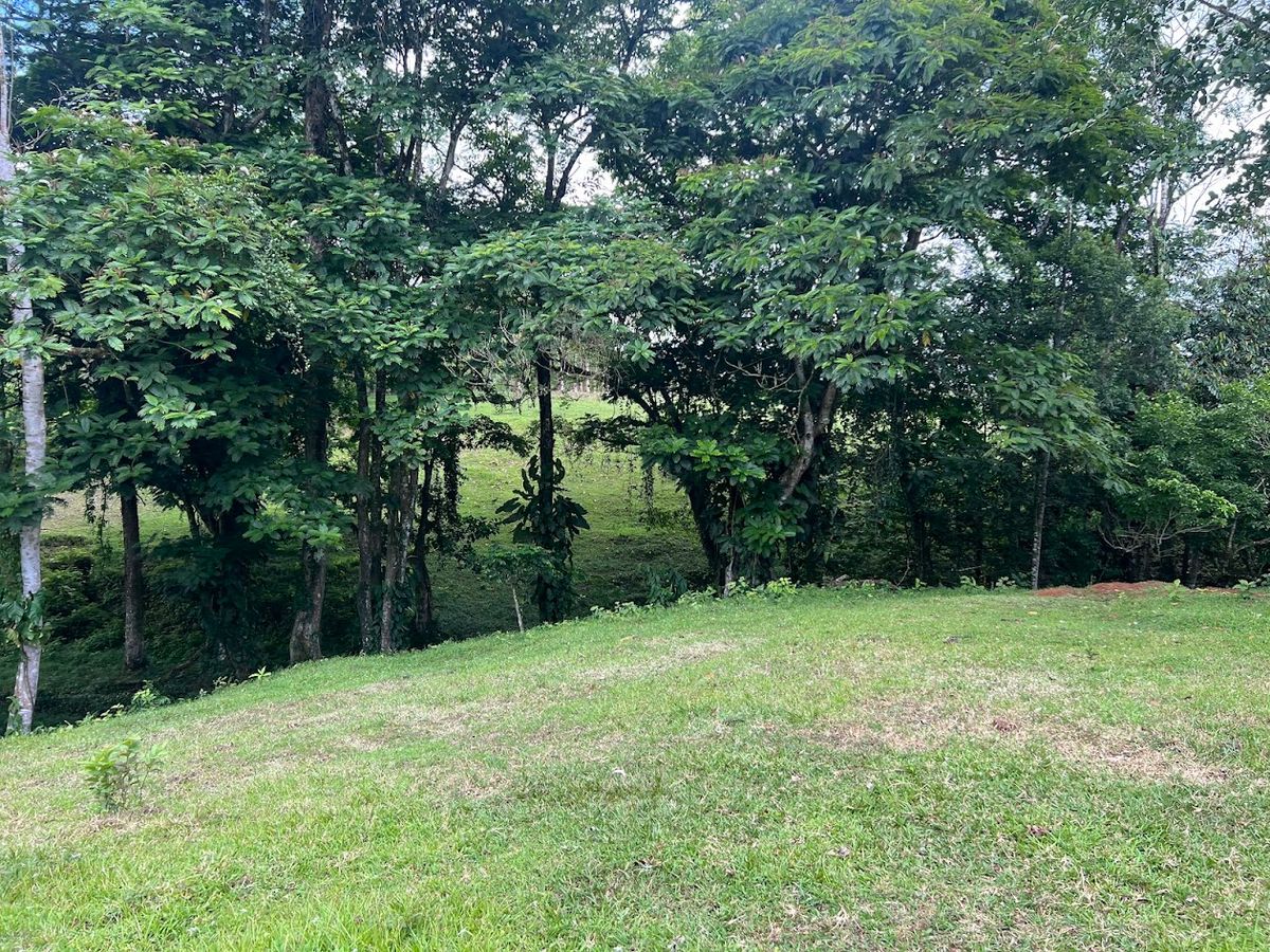 4,036 sqm Versatile Rural Lot in San Jorge de Cutris, San Carlos