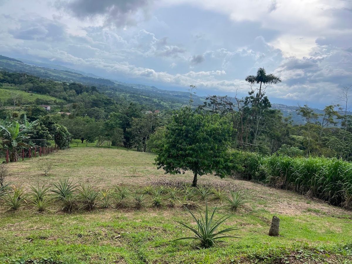 Home with Large Lot for Sale in La Tesalia | San Carlos