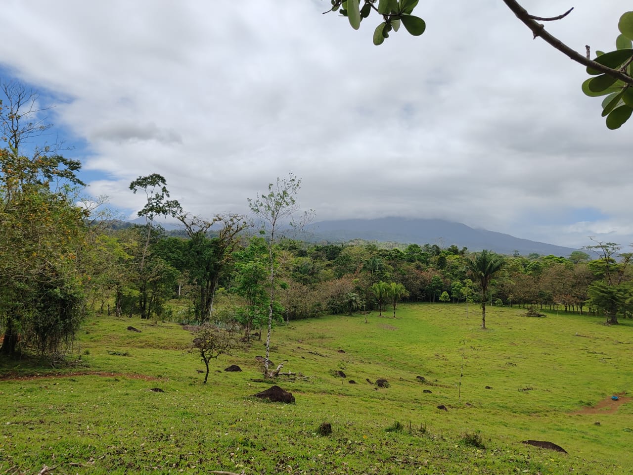 Livestock Farm between Upala & Bijagua: Split by Main Road