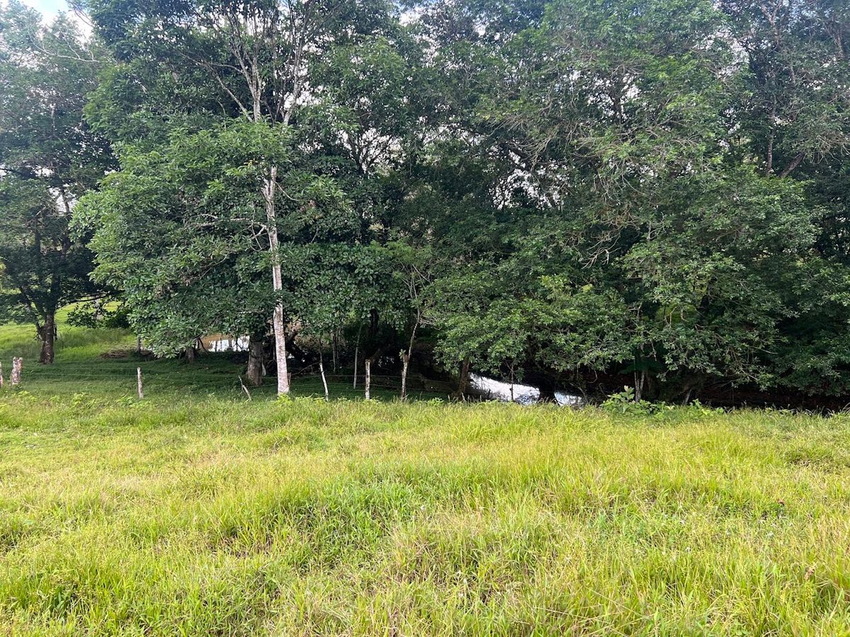 4,036 sqm Versatile Rural Lot in San Jorge de Cutris, San Carlos