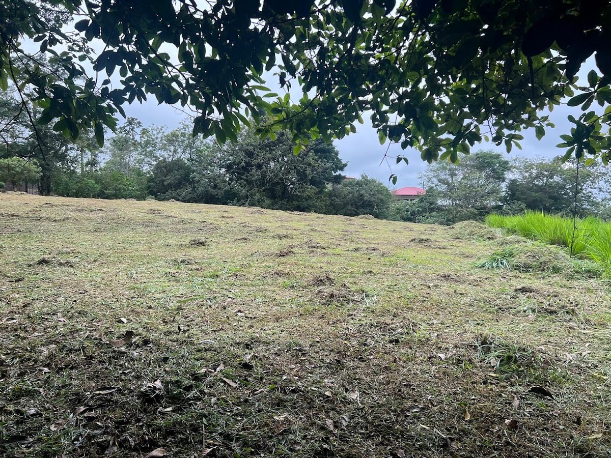 3,000 sqm Flat Lot in San Gerardo: Nature & Investment Opportunity
