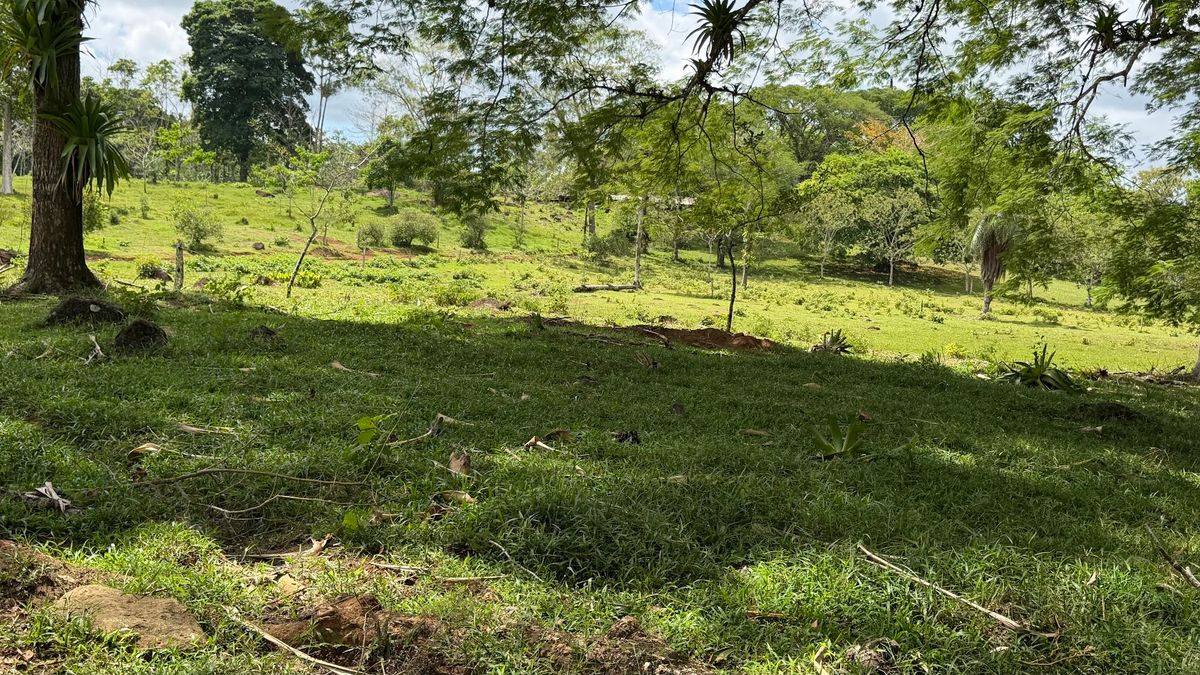 Fully Operational Livestock Development in Cuatro Esquinas