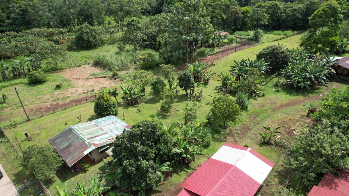 Land for Country Home in La Tigra, San Carlos: Bordering River