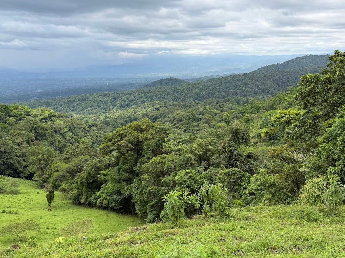uxury Estate in La Fortuna: Waterfall Views & Mountain Sanctuary