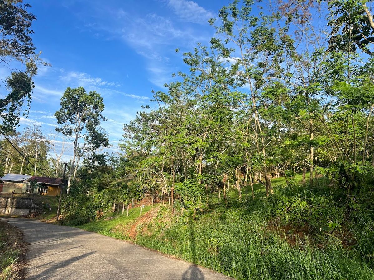 Lot in Cuestillas, Florencia with Panoramic Views
