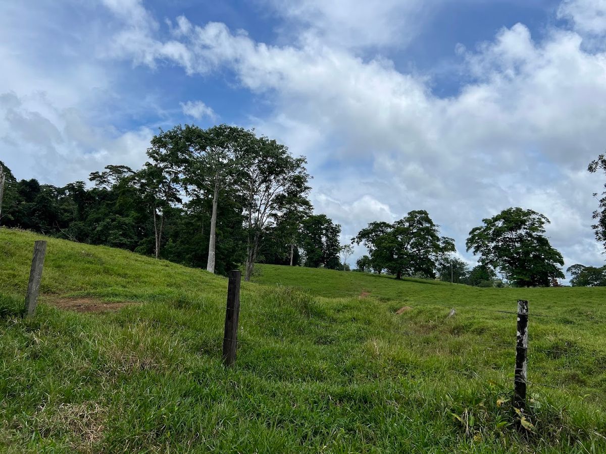 Cattle ranch in Costa Rica, San Carlos