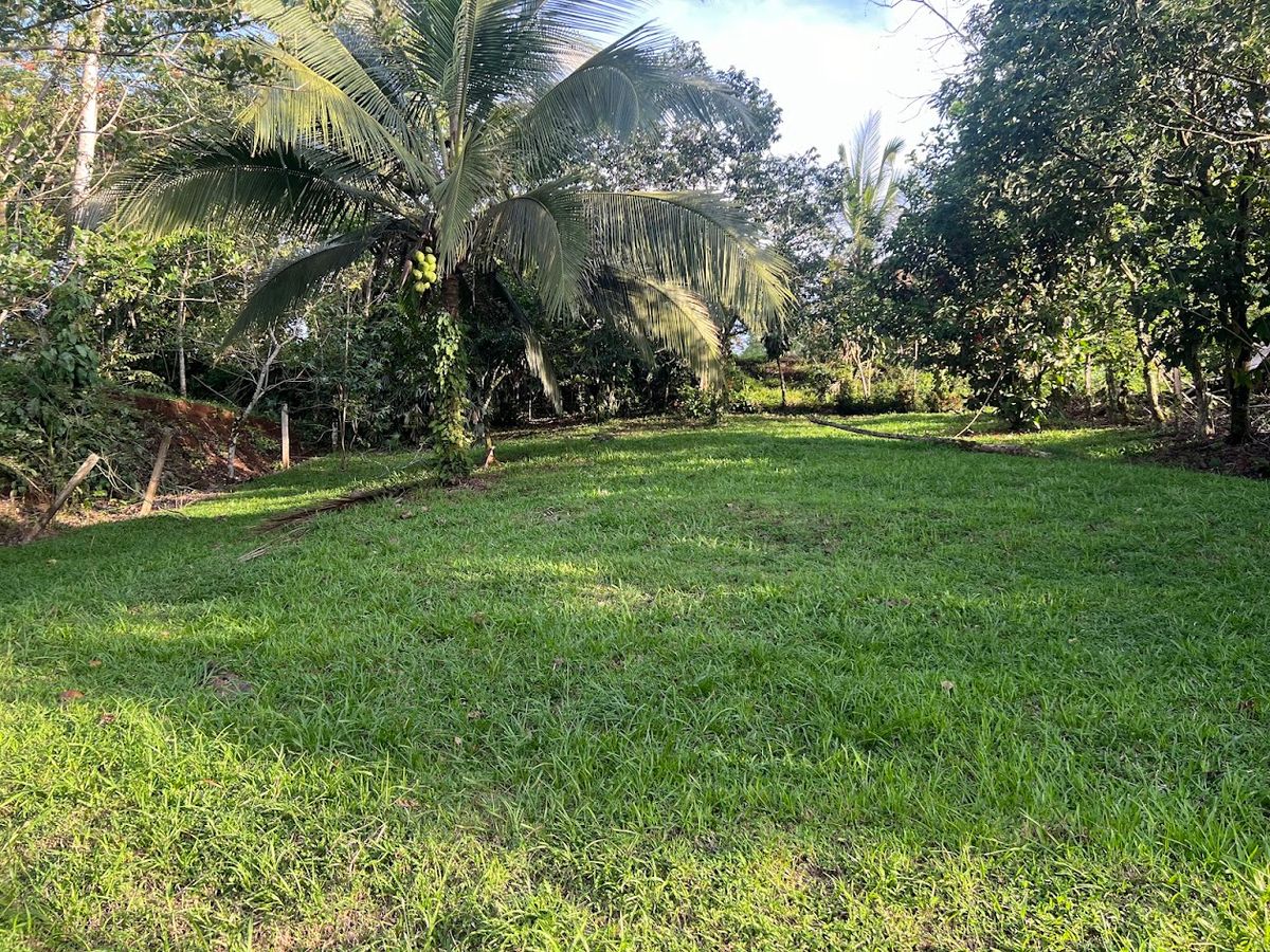 Lot in Cuestillas, Florencia with Panoramic Views