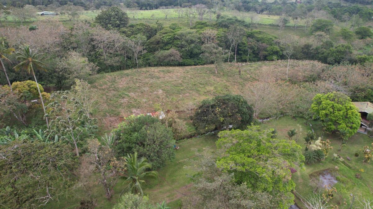 Stunning 6.4-Acre Lakefront Estate with Tourism Potential in La Palmera