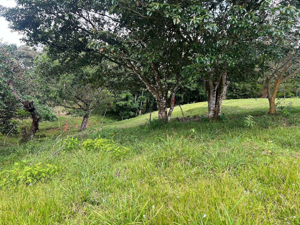 4,036 sqm Versatile Rural Lot in San Jorge de Cutris, San Carlos