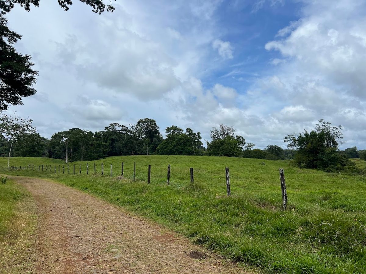 Cattle ranch in Costa Rica, San Carlos