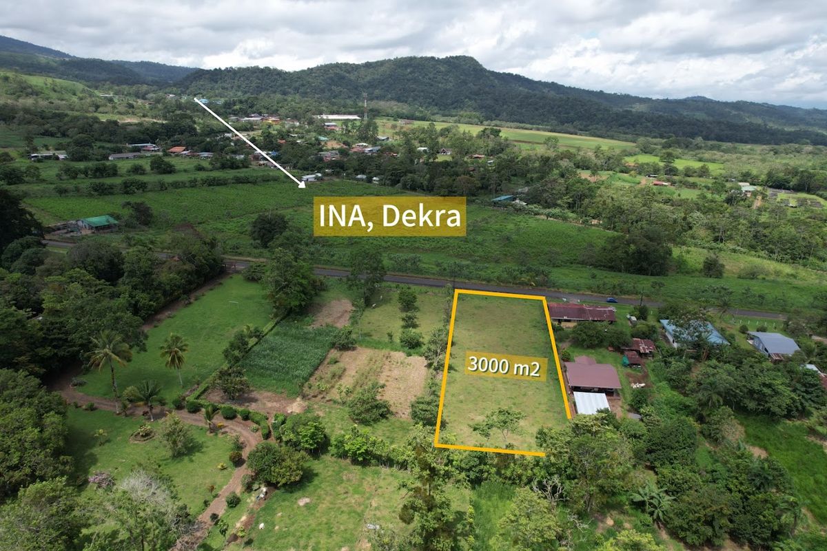 3,000 sqm Flat Lot in La Marina: Ready to Build & Prime Location