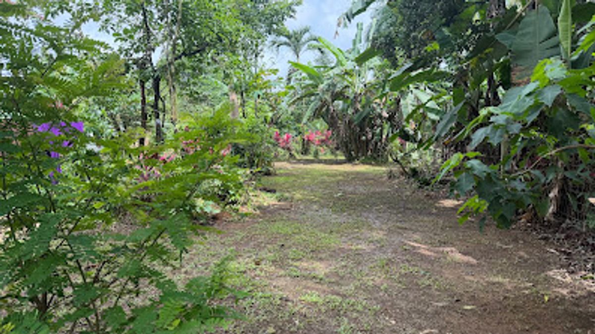 Land for Sale in Las Delicias, Aguas Zarcas: Heritage & Nature
