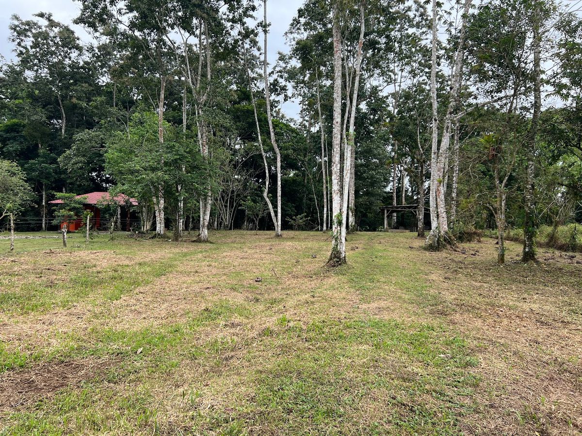Flat Lot for Sale in Carrizal, Rio Cuarto: Near Hule Lagoon