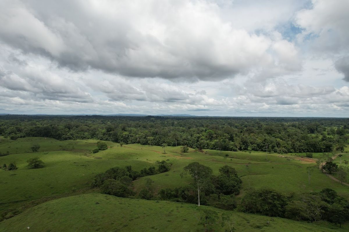 Cattle ranch in Costa Rica, San Carlos