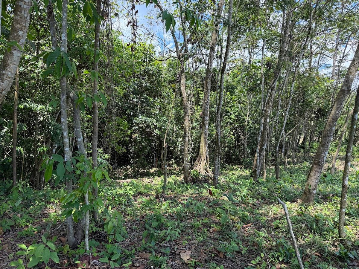725 sqm Lot in Chachagua: Near La Fortuna & Arenal Volcano