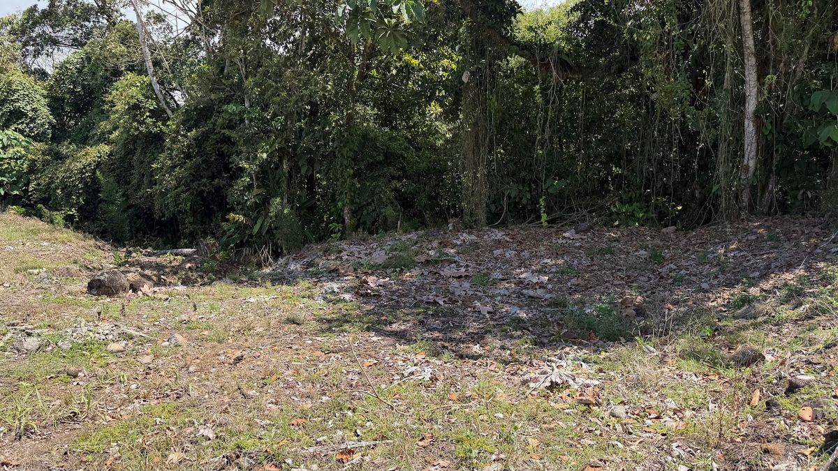 Private lot in San Gerardo, Ciudad Quesada