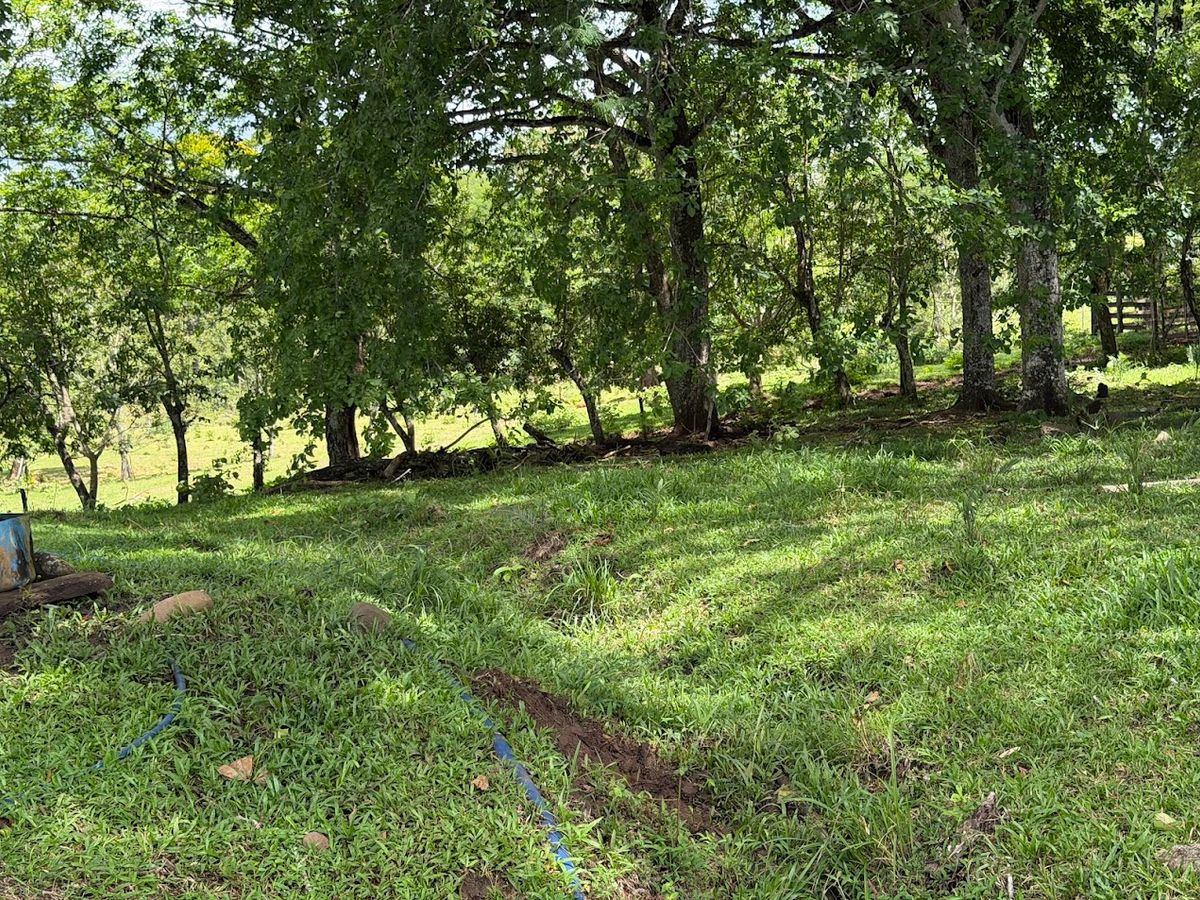 Fully Operational Livestock Development in Cuatro Esquinas