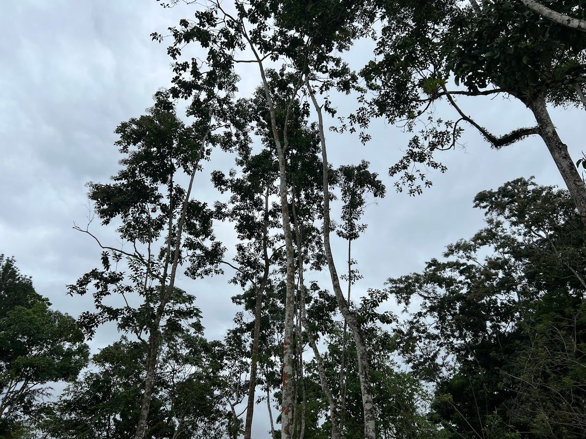 Flat Lot for Sale in Carrizal, Rio Cuarto: Near Hule Lagoon