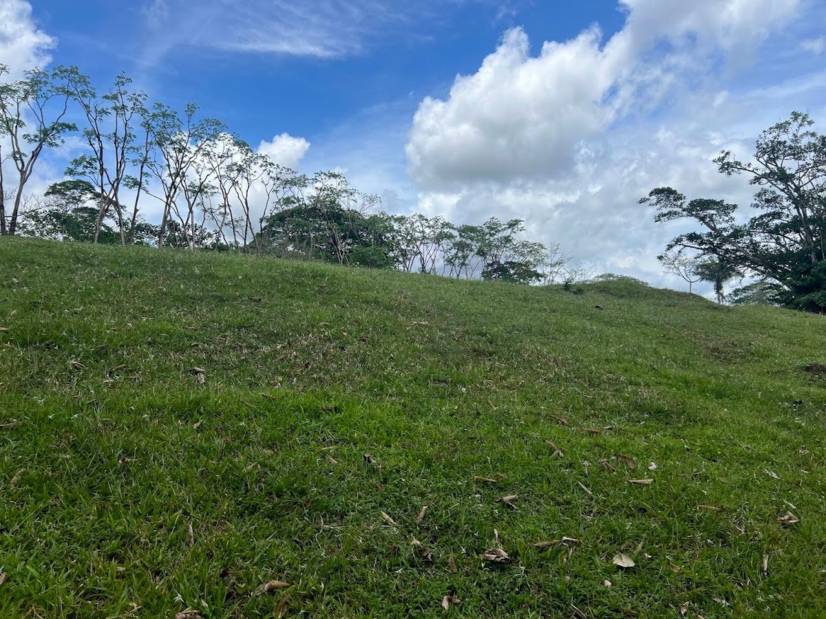 4,036 sqm Versatile Rural Lot in San Jorge de Cutris, San Carlos