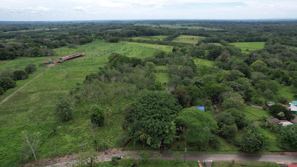 3.6-Hectare Livestock & Commercial Farm in La Vega: Main Road Frontage