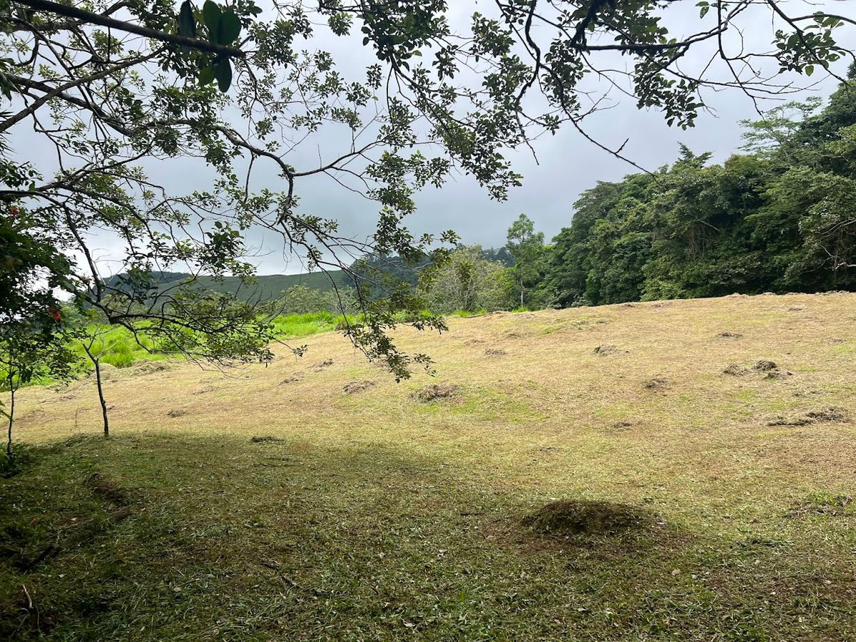 3,000 sqm Flat Lot in San Gerardo: Nature & Investment Opportunity