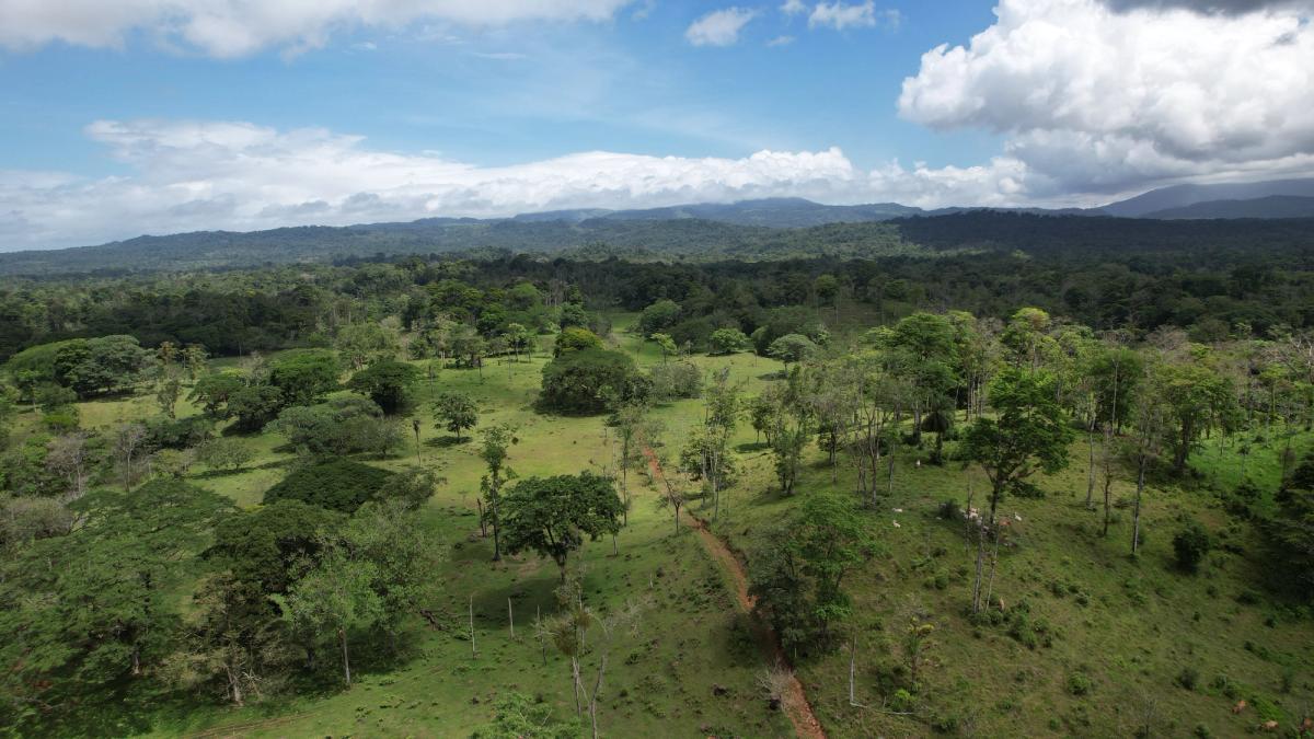 Fully Operational Livestock Development in Cuatro Esquinas