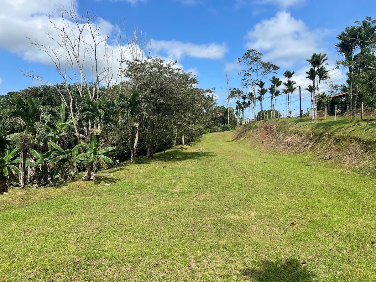 Stunning 6.4-Acre Lakefront Estate with Tourism Potential in La Palmera