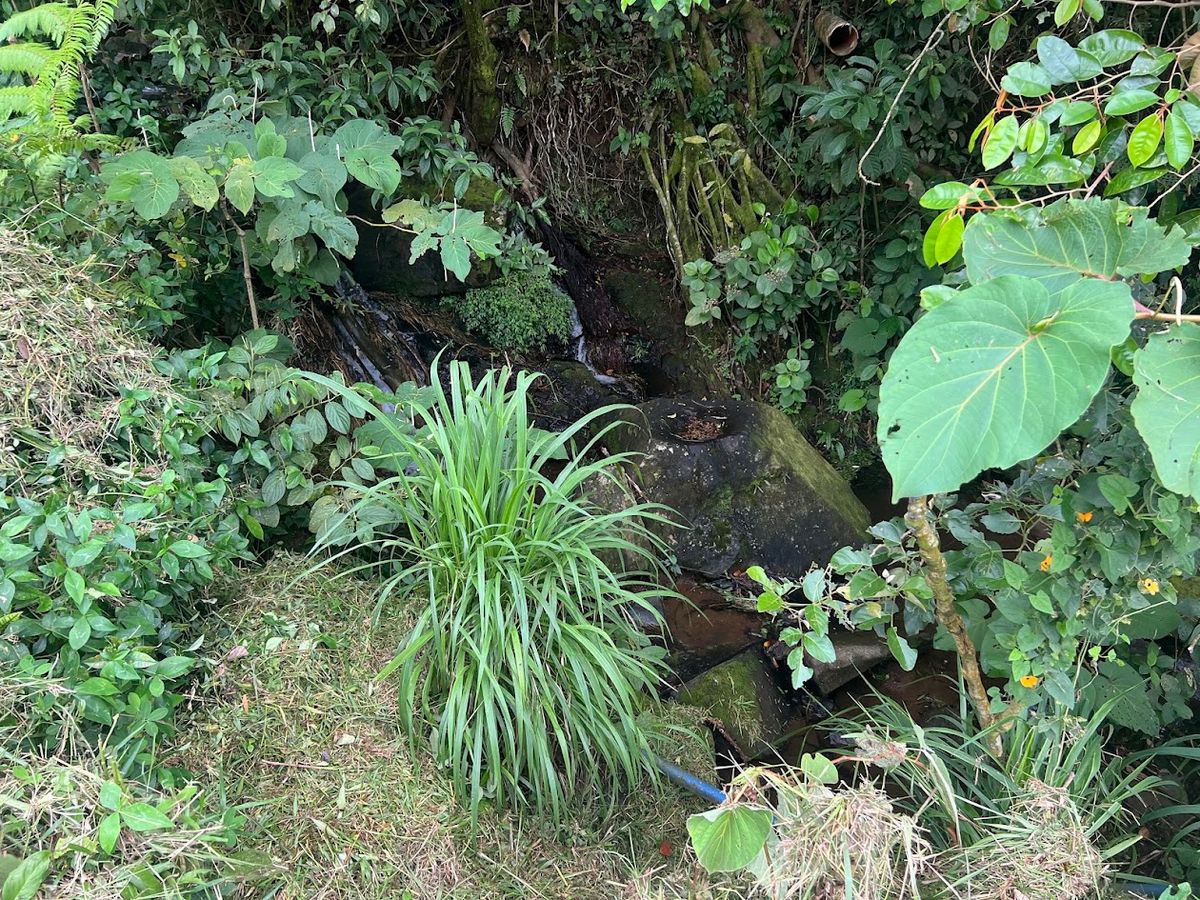 3,000 sqm Flat Lot in San Gerardo: Nature & Investment Opportunity