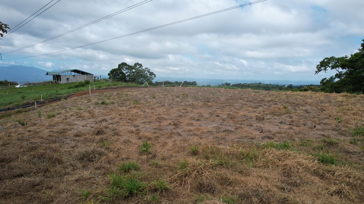 Lotes con precio de Oportunidad en Ciudad Quesada: en Puente Casa