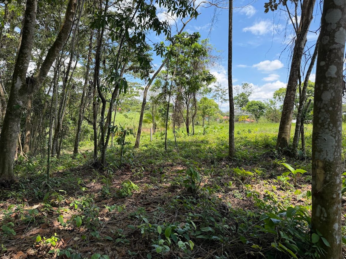 725 sqm Lot in Chachagua: Near La Fortuna & Arenal Volcano