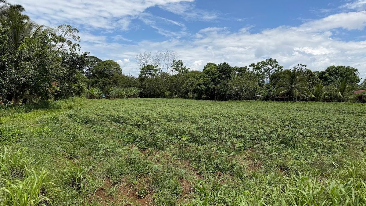 2-Hectare Farm in La Perla, La Fortuna: Commercial Frontage & Peñas Blancas River