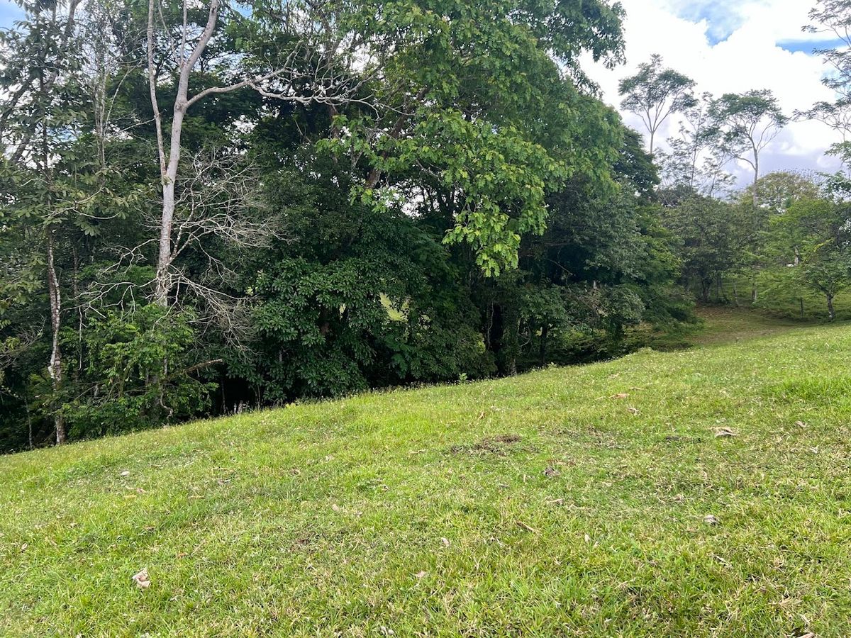 4,036 sqm Versatile Rural Lot in San Jorge de Cutris, San Carlos