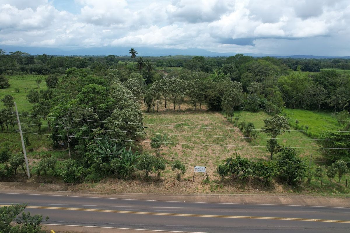 Commercial Land in Boca Arenal: Near Muelle Logistics Hub & Free Trade Zone.
