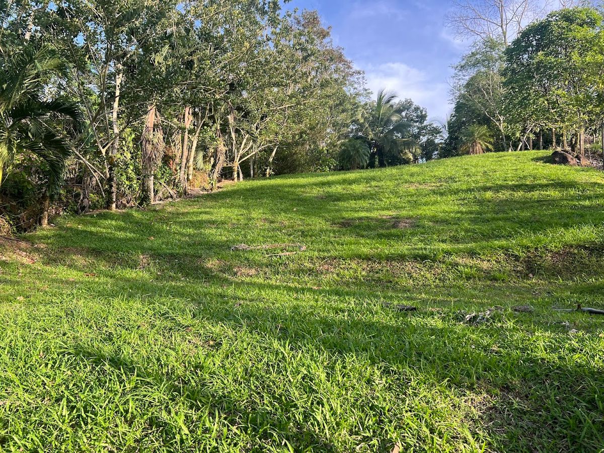 Lot in Cuestillas, Florencia with Panoramic Views