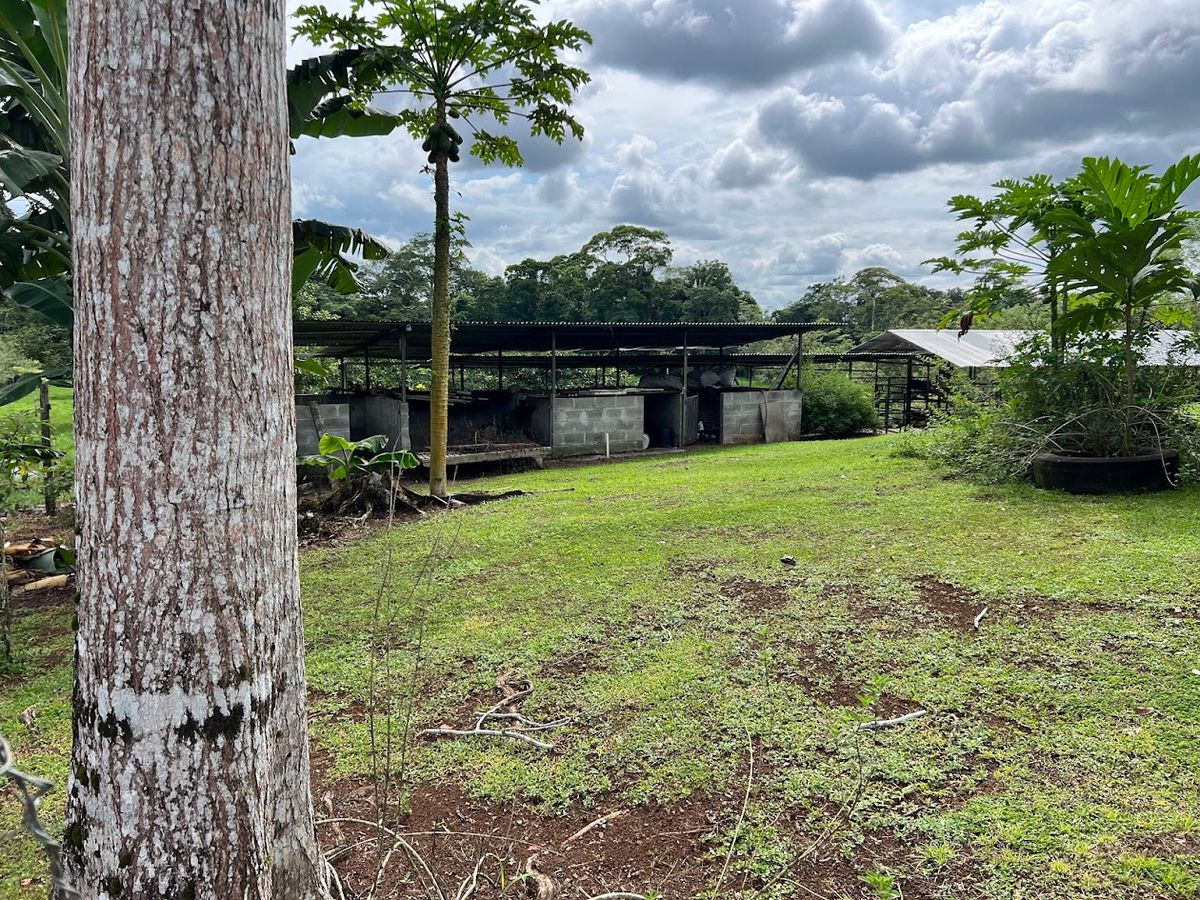 7-Hectare Self-Sufficient Dairy Farm and Cabin in Los Chiles